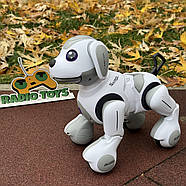 Собака на радіокеруванні “Buddy” | Песик на пульті керування | Собака-робот на радіоуправлінні, фото 2