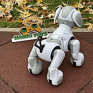 Собака на радіокеруванні “Buddy” | Песик на пульті керування | Собака-робот на радіоуправлінні, фото 3