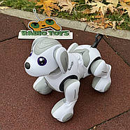 Собака на радіокеруванні “Buddy” | Песик на пульті керування | Собака-робот на радіоуправлінні, фото 5