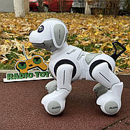 Собака на радіокеруванні “Buddy” | Песик на пульті керування | Собака-робот на радіоуправлінні, фото 7