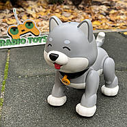 Інтерактивна Собачка на радіокеруванні “Hasky ” сірий | Собака на пульті керування | Песик-робот на радіоуправлінні, фото 4