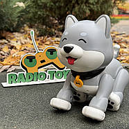 Інтерактивна Собачка на радіокеруванні “Hasky ” сірий | Собака на пульті керування | Песик-робот на радіоуправлінні, фото 6