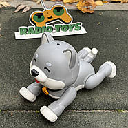 Інтерактивна Собачка на радіокеруванні “Hasky ” сірий | Собака на пульті керування | Песик-робот на радіоуправлінні, фото 2