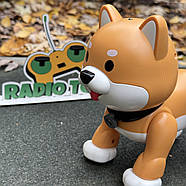 Інтерактивна Собачка на радіокеруванні “Hasky ” руда | Собака на пульті керування | Песик-робот на радіоуправлінні, фото 2