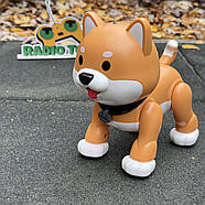 Інтерактивна Собачка на радіокеруванні “Hasky ” руда | Собака на пульті керування | Песик-робот на радіоуправлінні, фото 5