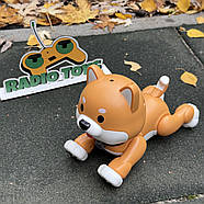 Інтерактивна Собачка на радіокеруванні “Hasky ” руда | Собака на пульті керування | Песик-робот на радіоуправлінні, фото 6