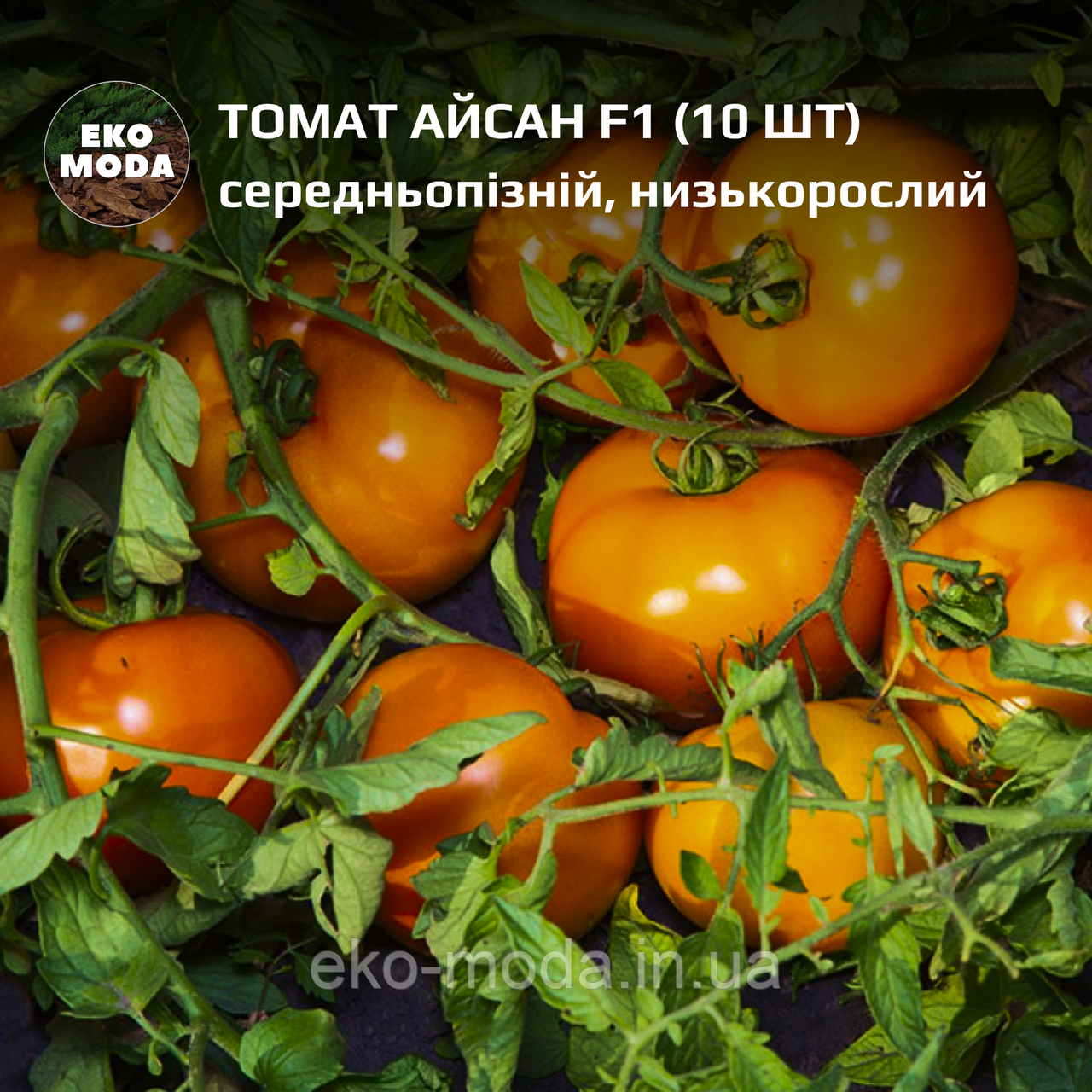 Томат Айсан F1 середньопізній, низькорослий, (10 шт, zip-пакет)