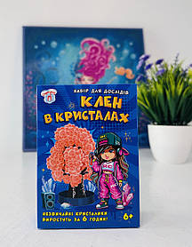 Набір для дослідів Клен в кристалах Персикове (10114182У) Ранок