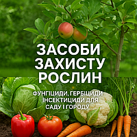 Засоби захисту рослин (ЗЗР) — фунгіциди, гербіциди, інсектициди