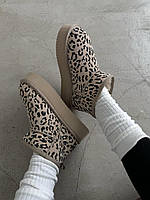 Зимние ботинки UGG ULTRA MINI PLATFORM BEIGE LEOPARD SUEDE угги на зиму