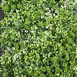 Штучна трава Килимок для фітостін, 40 × 60 см.