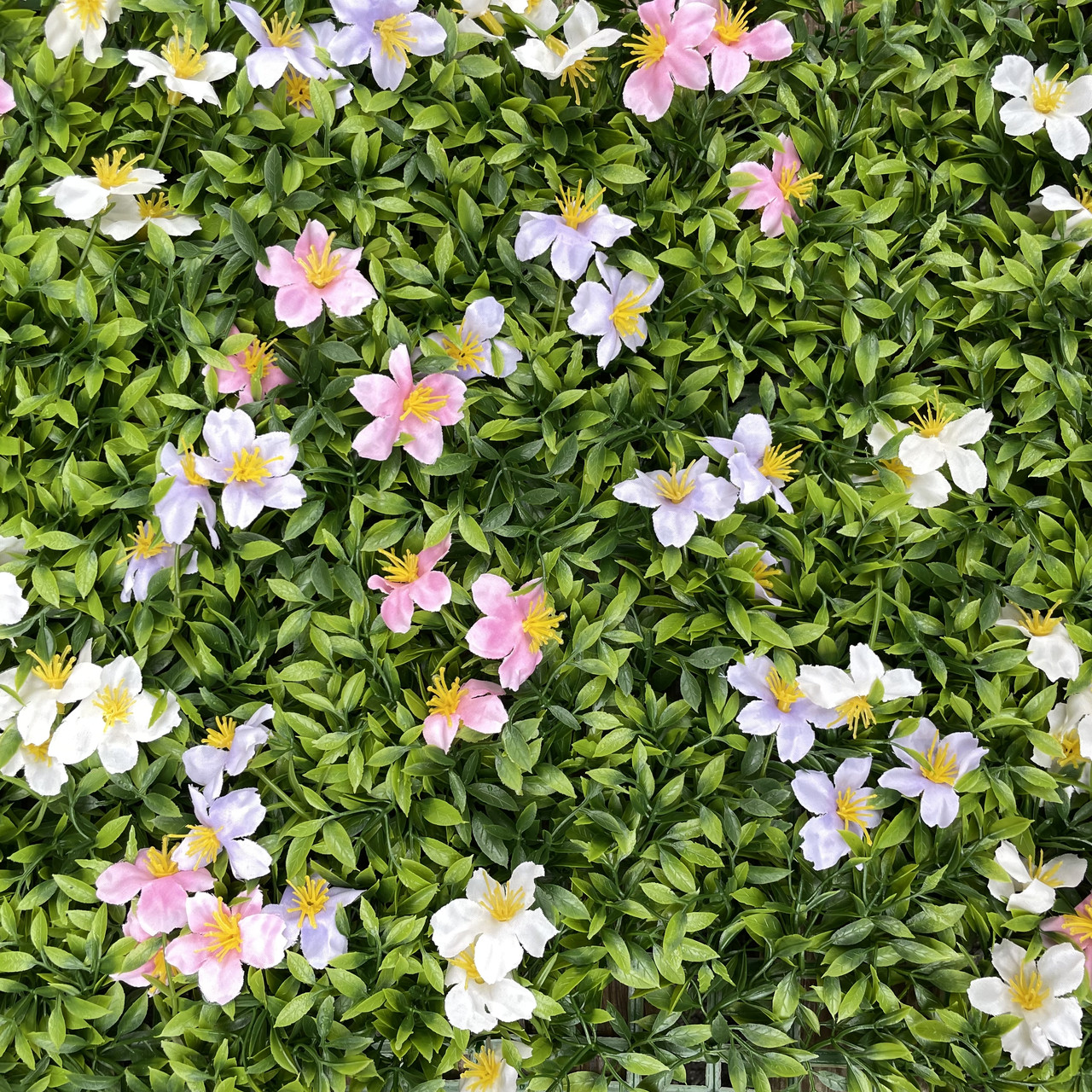 Самшитовий газонний килимок для фітостін, 40 × 60 см., фото 1