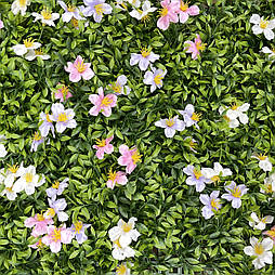 Самшитовий газонний килимок для фітостін, 40 × 60 см.