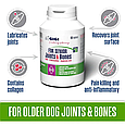 Вітамінно-мінеральна добавка Gigi For Senior Joints & Bones для зміцнення та відновлення суглобів у собак похилого віку 90 шт, фото 2