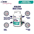 Вітамінно-мінеральна добавка Gigi Healthy Skin & Coat для профілактики хронічних дерматитів та покращення стану шкіри 90 шт, фото 2