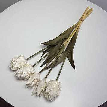 Тюльпан папуговий латексний кремовий |В-45 см|