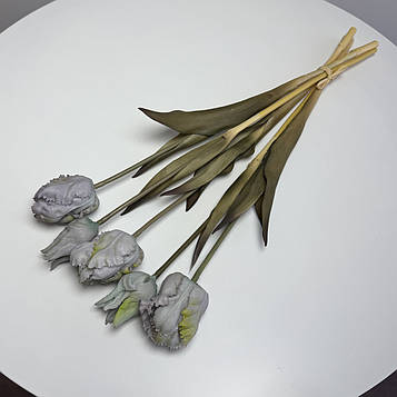 Тюльпан папуговий латексний мікс |В-45 см|