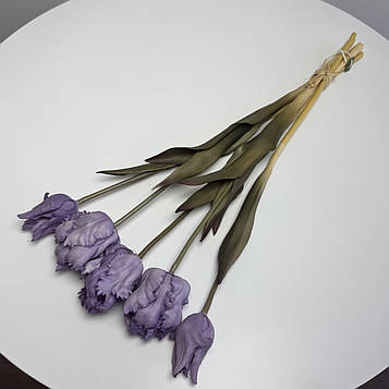 Тюльпан папуговий латексний фіолетовий |В-45 см|