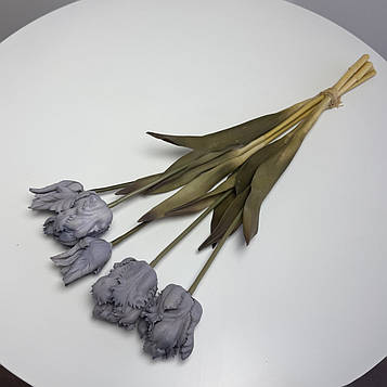 Тюльпан папуговий латексний сірий |В-45 см|