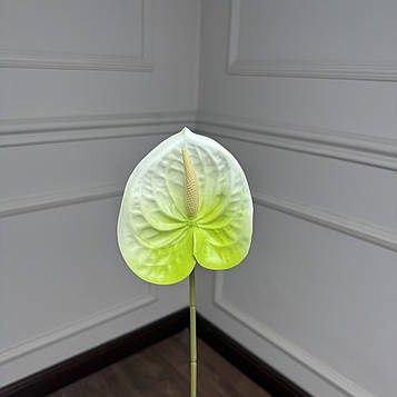 Антуріум гілка біло-салатова |В-60|  D11 см, упаковка 10 шт