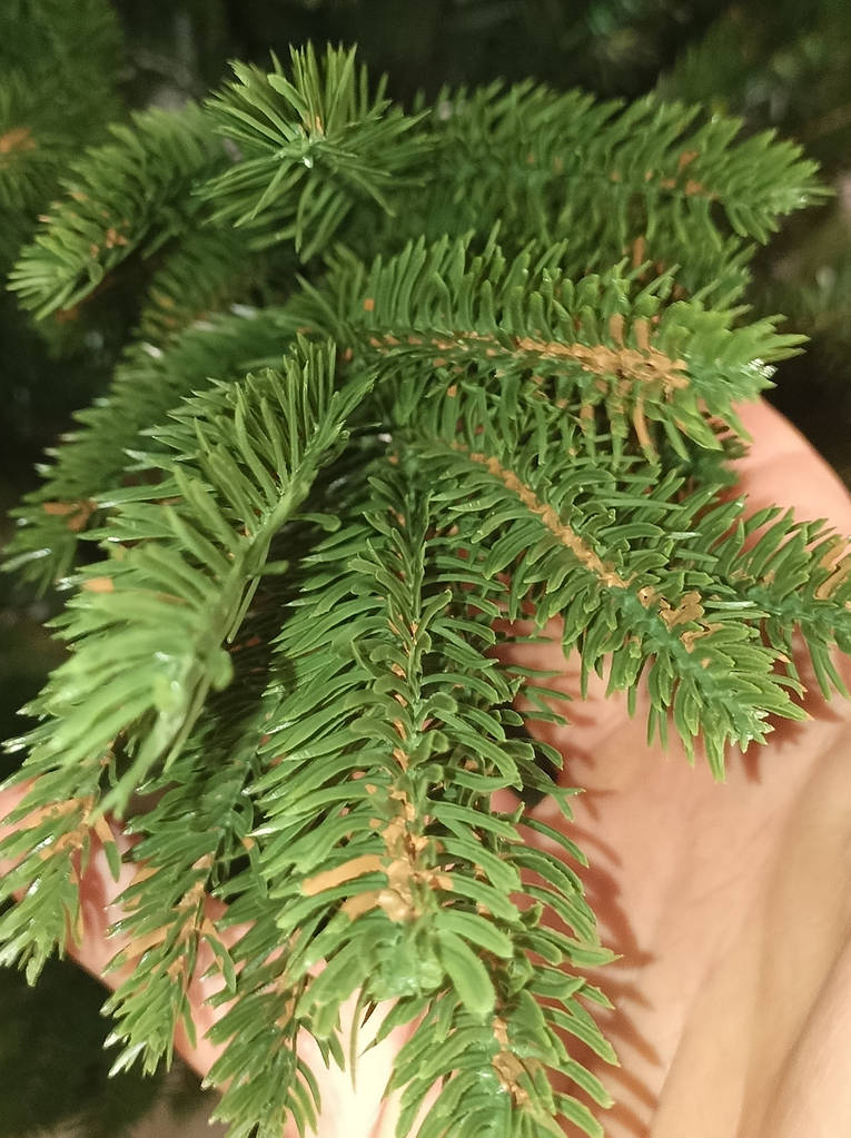 ЯЛИНКА ЛИТА СМЕРЕКА Зелена 1.8 м штучна ПРЕМІУМ - фото покупців 1