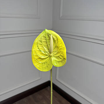 Антуріум гілка жовто-зелений |В-60|  D11 см, упаковка 10 шт