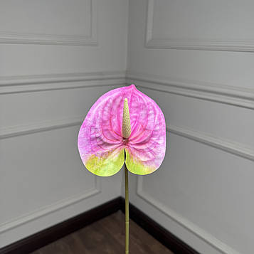 Антуріум гілка рожевий |В-60|  D11 см, упаковка 10 шт