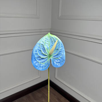 Антуріум гілка синій |В-60|  D11 см, упаковка 10 шт