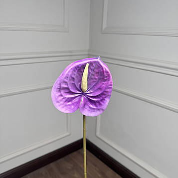 Антуріум гілка фіолетовий |В-60|  D11 см, упаковка 10 шт