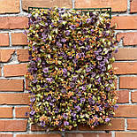 Самшитовий газонний килимок для фітостін, 40 × 60 см., фото 2