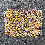 Самшитовий газонний килимок для фітостін, 40 × 60 см., фото 3