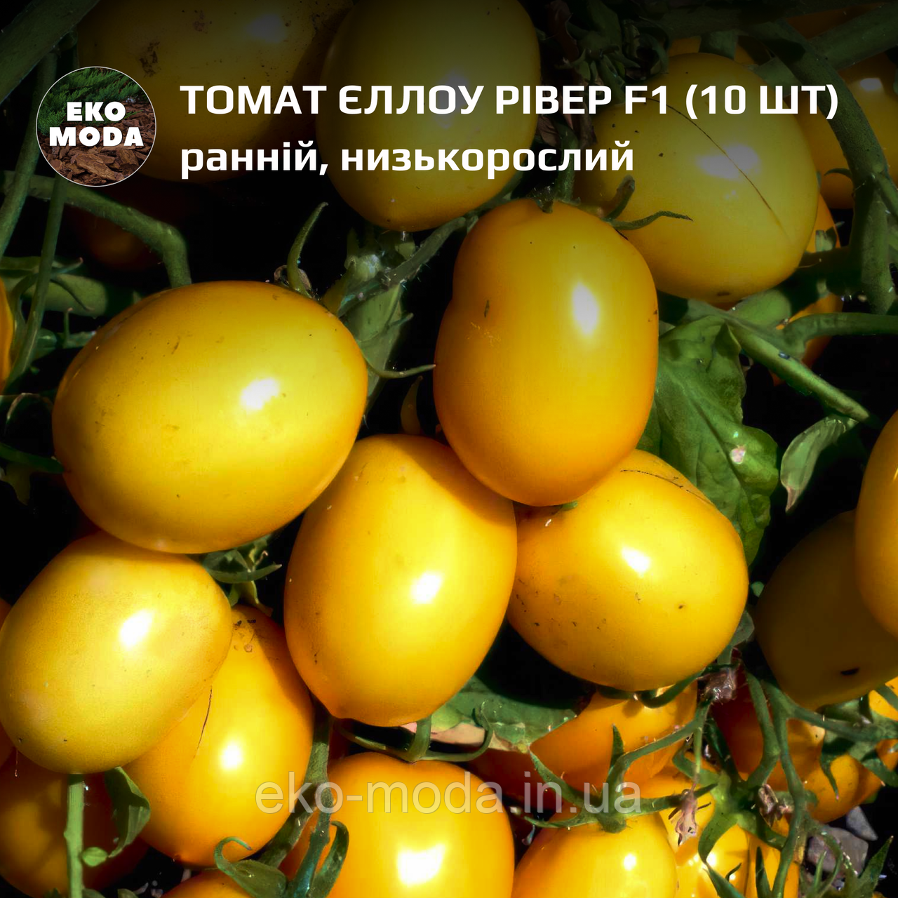 Томат Єллоу Рівер F1 ранній, низькорослий, (10 шт, zip-пакет), фото 1