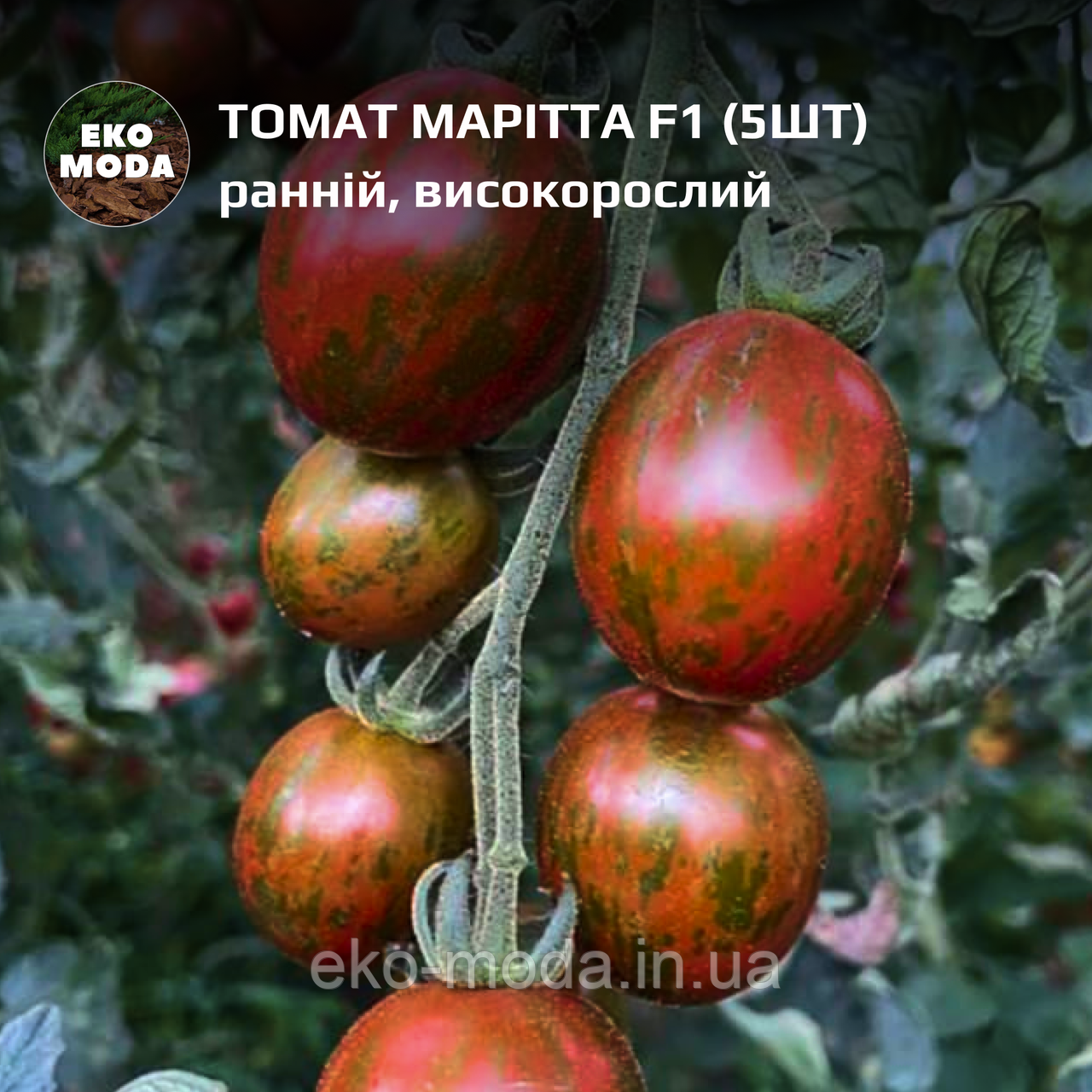 Томат Марітта F1 ранній, високорослий, (5 шт, zip-пакет)