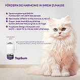 Набір феромонів для котів: стартовий набір котячих феромонів — Заспокійливий набір для кішок — Сприяє добробуту, фото 2