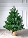 Ялинка новорічна штучна лита Pine Mini в мішковині 70 см зелена, фото 2