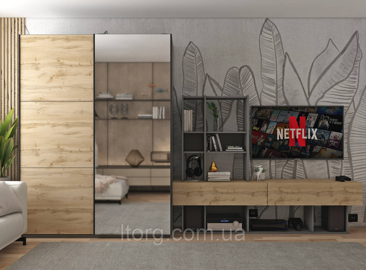 Шафа-купе двохдверна Doros G-Caiser 160х60х240 см Графіт/Дуб евок/1 Дзеркало (DRS-011038), фото 1