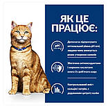 Hills Prescription Diet Kidney Care k/d Chicken 3 кг, фото 2