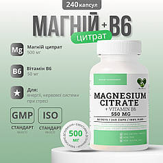 Магній цитрат для нервової системи та енергії 500 мг. з вітаміном В6 120 капс envie lab 240