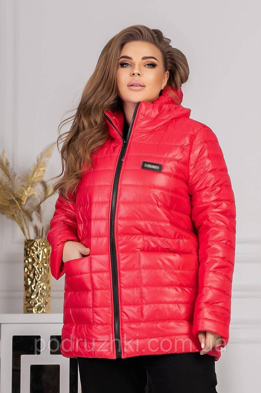 Куртка жіноча з капюшоном, Розмір 48-50,52-54,56-58,60-62, фото 1