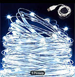 Гірлянда LED світлодіодна біла "РОСА 10 м USB, фото 2