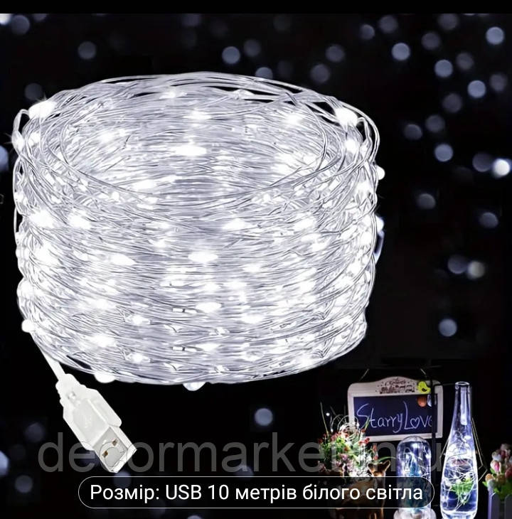 Гірлянда LED світлодіодна біла "РОСА 10 м USB, фото 1