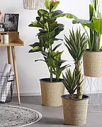 Штучні рослини та новорічні ялинки / Искусственные растения и новогодние елки