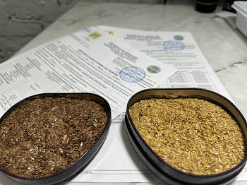 Насіння ЛЬОНУ на Посів. Коричневий та Золотистий