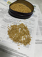 Льон Золотистий. Сорт "ГОЛДБЕРГ" 85 днів, 20-25ц/га, 50%, 2-га репродукція, фото 2