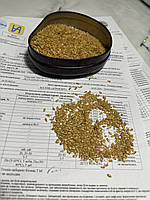 Льон Золотистий. Сорт "ГОЛДБЕРГ" 85 днів, 20-25ц/га, 50%, 2-га репродукція, фото 3