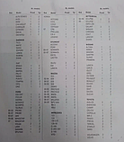 Бризковики універсальні Elegant №2 Елегант модель №2, фото 3