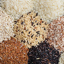 Види рису, його користь, найкращі рецепти приготування