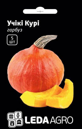 Насіння гарбуза Учікі Курі F1 5шт ТМ LEDAAGRO, фото 1