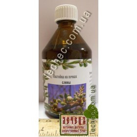 Настоянка на нирках сливи, фото 1