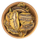 Ківі сушений натуральний 500 г, фото 2